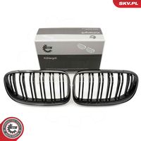 ESEN SKV 66SKV119 - Panal de radiador