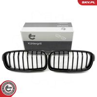 ESEN SKV 66SKV120 - Panal de radiador