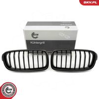 ESEN SKV 66SKV121 - Panal de radiador
