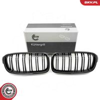ESEN SKV 66SKV127 - Panal de radiador