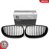 ESEN SKV 66SKV165 - Panal de radiador