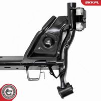 ESEN SKV 64SKV139 - Cuerpo del eje