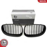 ESEN SKV 66SKV167 - Panal de radiador