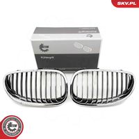 ESEN SKV 66SKV168 - Panal de radiador