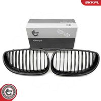 ESEN SKV 66SKV170 - Panal de radiador
