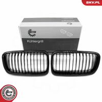 ESEN SKV 66SKV212 - Panal de radiador
