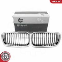 ESEN SKV 66SKV214 - Panal de radiador