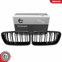 ESEN SKV 66SKV216 - Panal de radiador