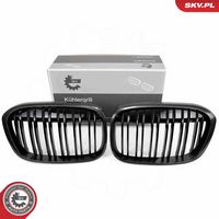 ESEN SKV 66SKV241 - Panal de radiador