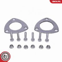 ESEN SKV 62SKV063 - Catalizador