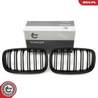 ESEN SKV 66SKV288 - Panal de radiador