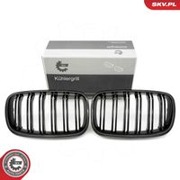 ESEN SKV 66SKV290 - Panal de radiador