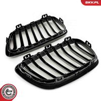 ESEN SKV 66SKV029 - Panal de radiador