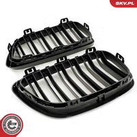 ESEN SKV 66SKV034 - Panal de radiador