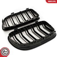 ESEN SKV 66SKV101 - Panal de radiador