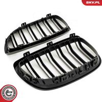 ESEN SKV 66SKV109 - Panal de radiador