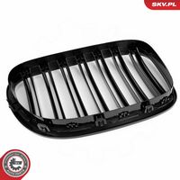 ESEN SKV 66SKV219 - Panal de radiador