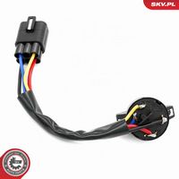 ESEN SKV 65SKV025 - Interruptor de encendido/arranque