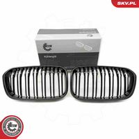 ESEN SKV 66SKV019 - Panal de radiador