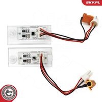 ESEN SKV 72SKV503 - Piloto de matrícula