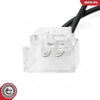 ESEN SKV 72SKV517 - Piloto de matrícula