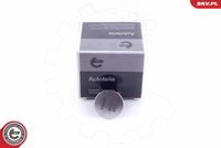 ESEN SKV 96SKV135 - Interruptor de encendido/arranque