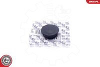 ESEN SKV 96SKV223 - Kit de reparación, ventilación del cárter