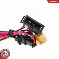 ESEN SKV 72SKV515 - Piloto de matrícula