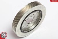 ESEN SKV 95SKV311 - Polea, cigüeñal