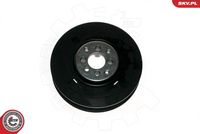 ESEN SKV 95SKV314 - Polea, cigüeñal