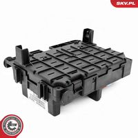 ESEN SKV 96SKV321 - Unidad de control, gestión del motor