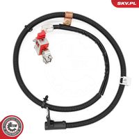 ESEN SKV 96SKV334 - Adpatador batería