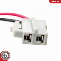 ESEN SKV 96SKV630 - Muelle espiral, airbag