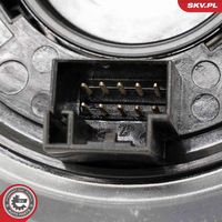 ESEN SKV 96SKV681 - Muelle espiral, airbag