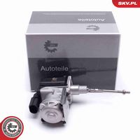 ESEN SKV 95SKV406 - Válvula reguladora de admisión