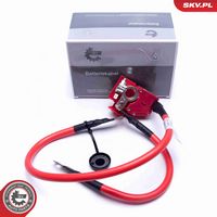 ESEN SKV 96SKV312 - Adpatador batería