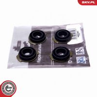 ESEN SKV 96SKV401 - Kit de reparación, módulo de tubo de aspiración