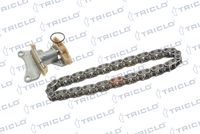 TRICLO 422197 - Juego de cadena de distribución
