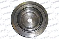 TRICLO 425563 - Polea, cigüeñal