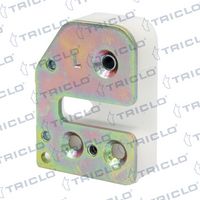 TRICLO 133801 - Cerradura de puerta