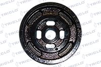 TRICLO 428877 - Polea, cigüeñal