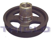 TRICLO 428497 - Polea, cigüeñal