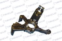 TRICLO 762210 - Muñón del eje, suspensión de rueda