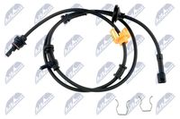 NTY HCACH014 - Sensor, revoluciones de la rueda