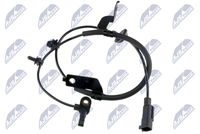NTY HCACH038 - Sensor, revoluciones de la rueda