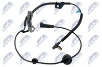 NTY HCACH040 - Sensor, revoluciones de la rueda