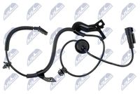 NTY HCACH058 - Sensor, revoluciones de la rueda