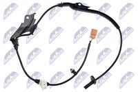 NTY HCAHD001 - Sensor, revoluciones de la rueda