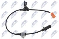NTY HCAHD062 - Sensor, revoluciones de la rueda
