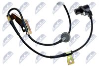 NTY HCASU025 - Sensor, revoluciones de la rueda